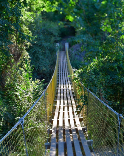 Taller de Trekking - Sendero Los Peumos
