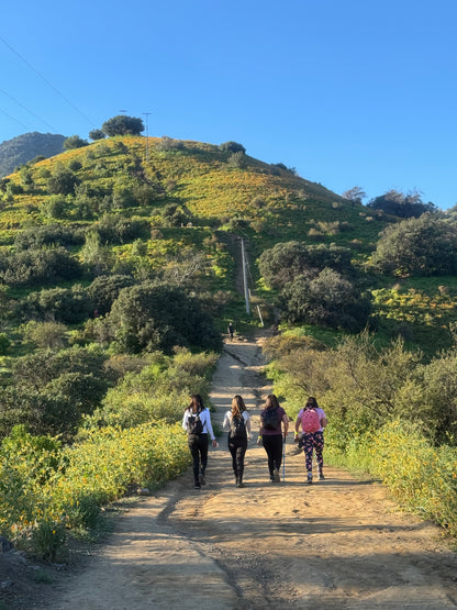 TREKKING COLORS - CERRO EL CARBÓN