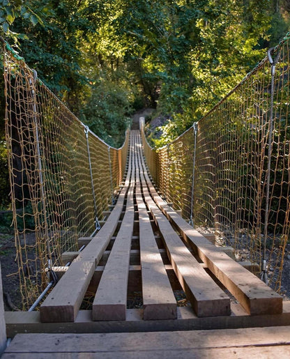 Taller de Trekking - Sendero Los Peumos