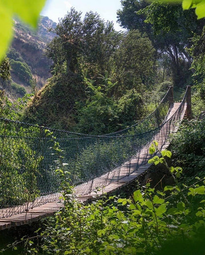 Taller de Trekking - Sendero Los Peumos