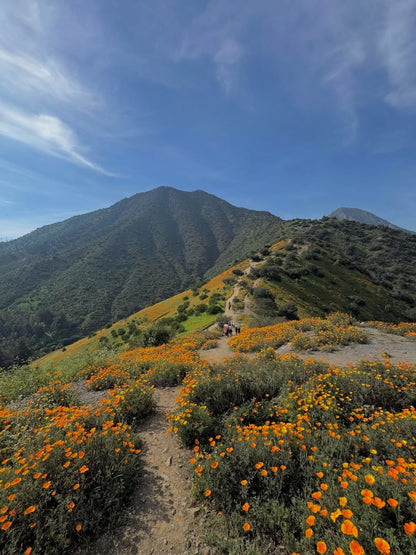 TREKKING COLORS - CERRO EL CARBÓN