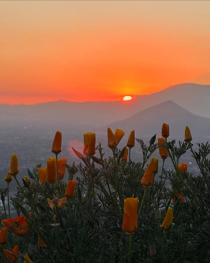 TREKKING COLORS - CERRO EL CARBÓN