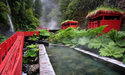 Termas Geométricas + Huilo Huilo
