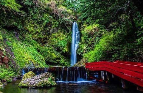 Tour Termas Geométricas