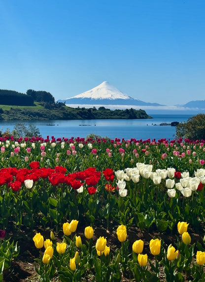 Tour Frutillar